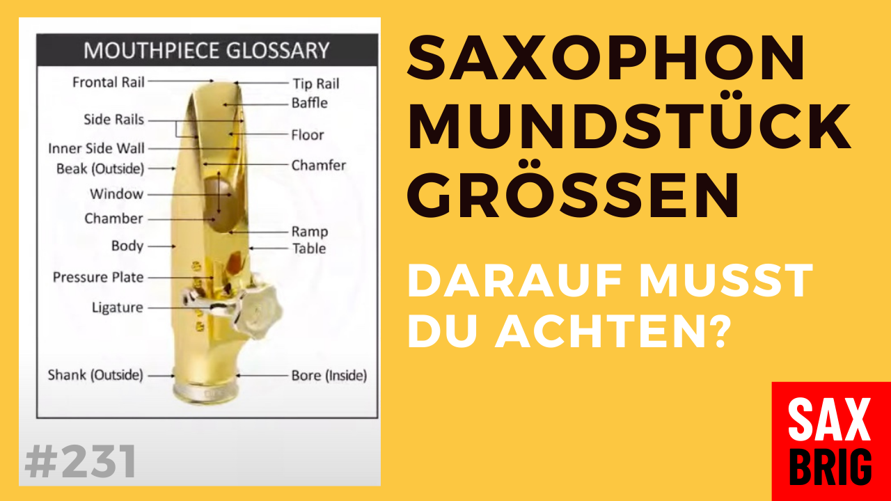 Saxophon Mundstück